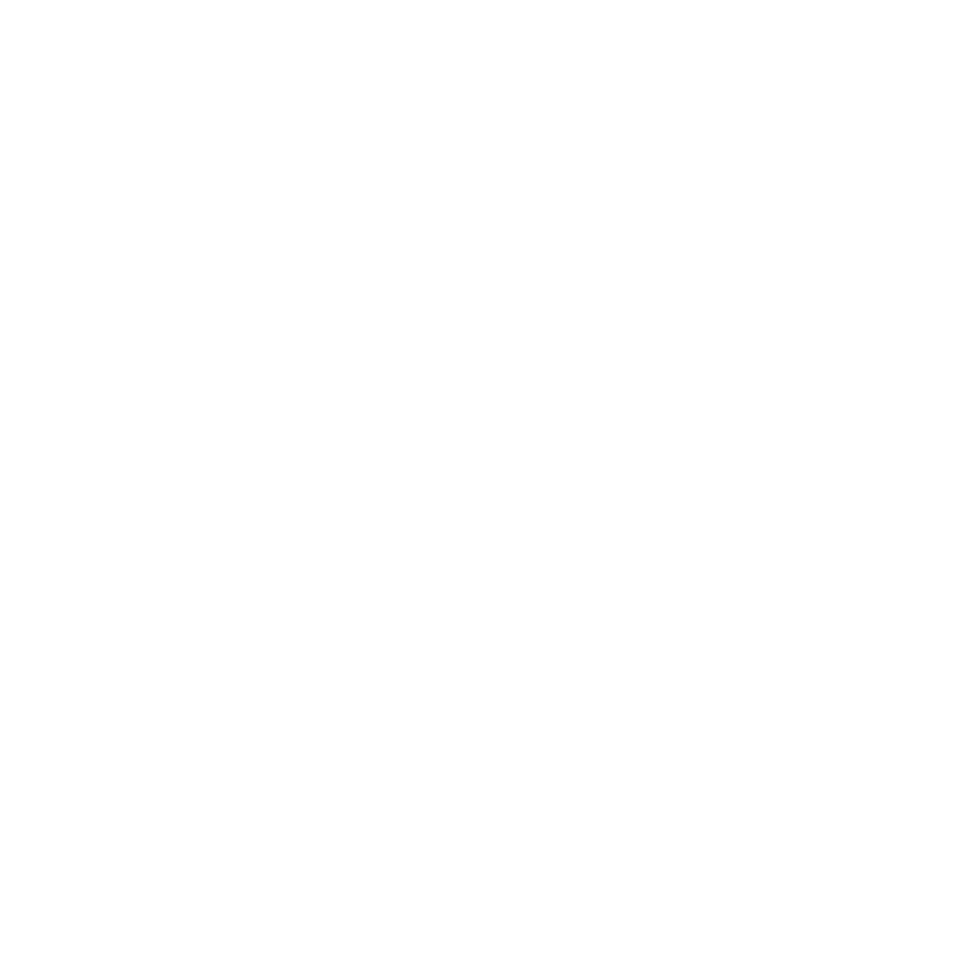 Loyalty Program 4 Platinum Edge Icon